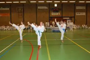 Lees meer over het artikel Taekwondo examen 17 juli
