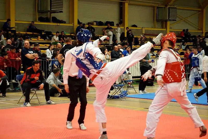 Je bekijkt nu Goud in Ham (België) en Dordrecht voor taekwondoka’s